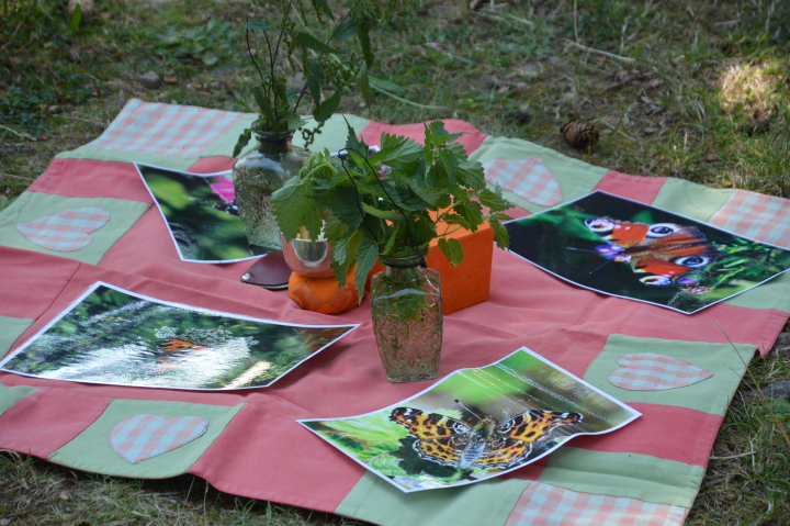 Foto: Naturpark Hessischer Spessart
